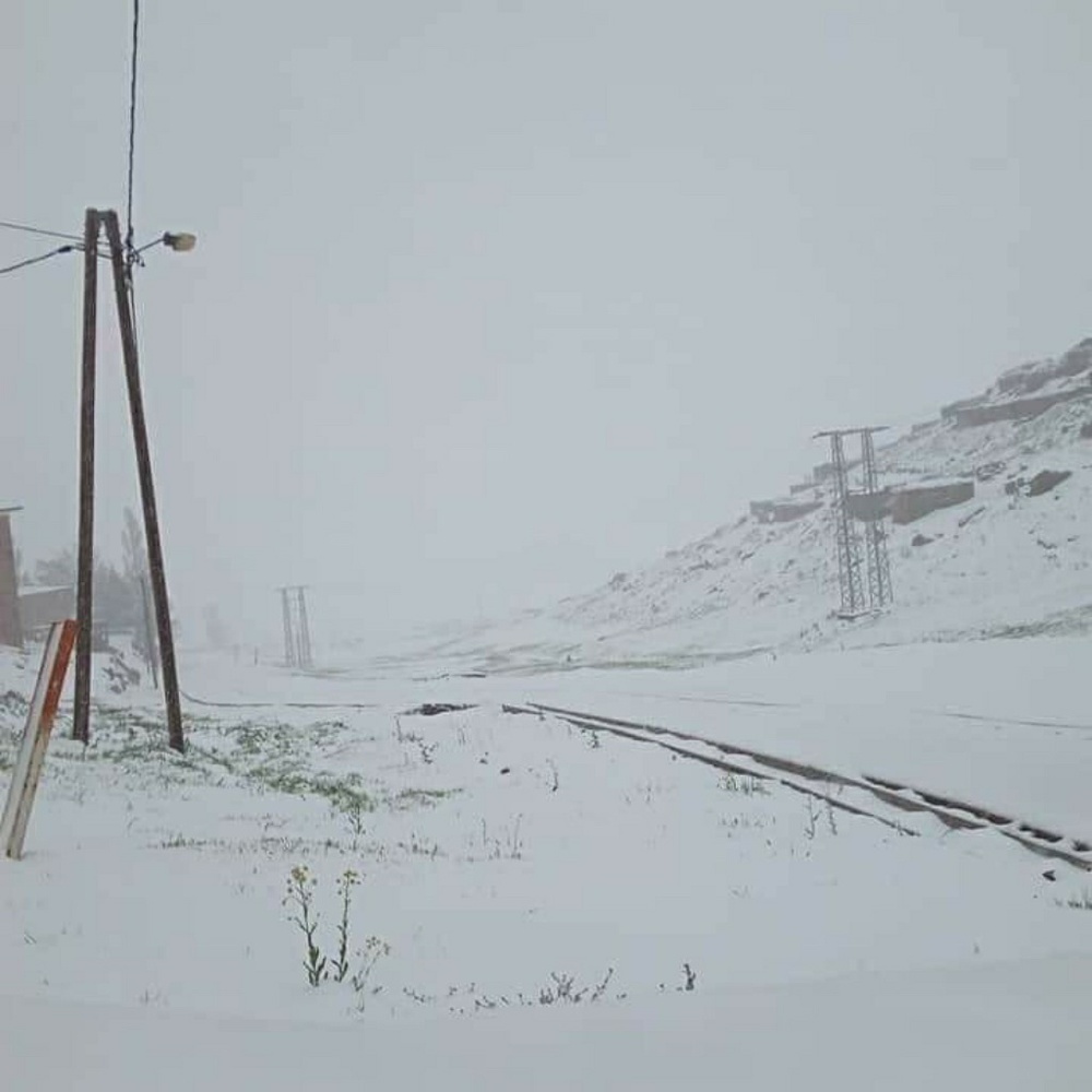 Meet your Posher, Moha